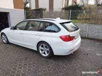 Obraz 3