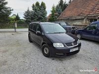 Obraz 2