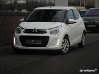 Obraz 1