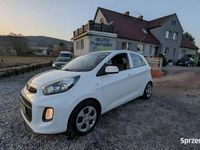 Używany Kia Picanto 67 KM (49 kW) 2016 Biały Hatchback
