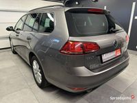 używany VW Golf VII Golf VW1.6 TDI CUP Panorama dach Navi …