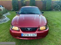 Używany Ford Mustang 190 KM (139 kW) 2003 Bordowy Coupe
