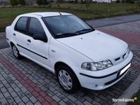 Obraz 3