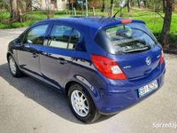 Obraz 3