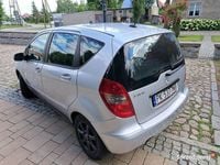 Obraz 3