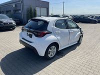 Obraz 3