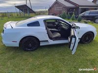 używany Ford Mustang 2014r. 3.7l.