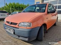 Obraz 1