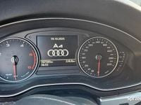 Używany Audi A4 2016