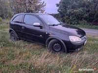 Obraz 3