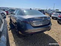 Używany Alfa Romeo Giulia 2023 Szary Sedan/Limuzyna