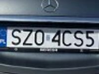Obraz 3