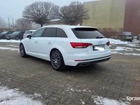 używany Audi A4 b9 rok 2019 silnik 2.0 diesel 190 km automat