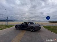 Obraz 3