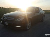 Obraz 3