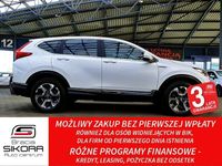 Obraz 2