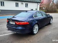 Używany Jaguar XF Portfolio 300 KM (220 kW) 2016 Niebieski Sedan/Limuzyna