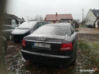 Obraz 3