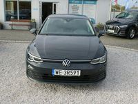 Obraz 3