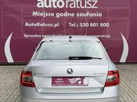 Obraz 3