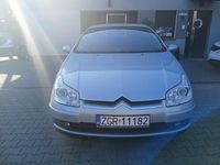 Obraz 3