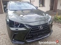 Używany Lexus NX350h 2025