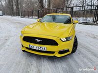 Używany Ford Mustang 2015