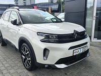 Obraz 3
