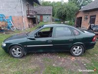 Obraz 3