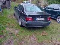 Obraz 3