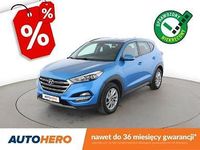 Obraz 1