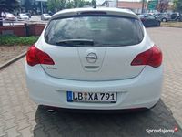 Obraz 3