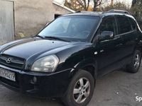Obraz 3