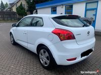 Obraz 3