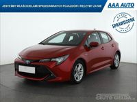 Obraz 3