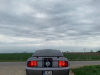 Obraz 3