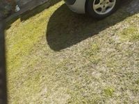 Używany Renault Clio II 2004