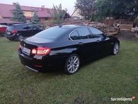 Obraz 3