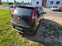 Obraz 3