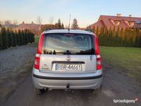 używany Fiat Panda 2008 rok, poj. 1.2 benzyna, przebieg:133tyś. km.