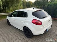 Obraz 3