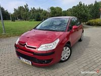 Obraz 3