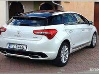 używany Citroën DS5 - Hybrid 4 - Executive - MAX - ZAMIANA