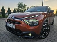 Obraz 2
