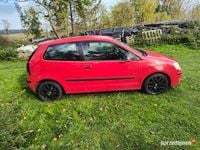 Obraz 3
