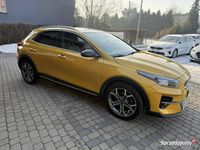 Używany Kia XCeed Launch Edition 140 KM (102 kW) 2019 Złoty SUV