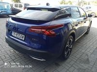 Obraz 3