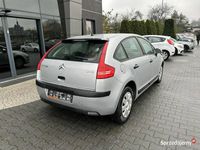 Obraz 3