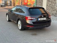 Obraz 3