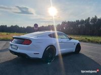 używany Ford Mustang GT 